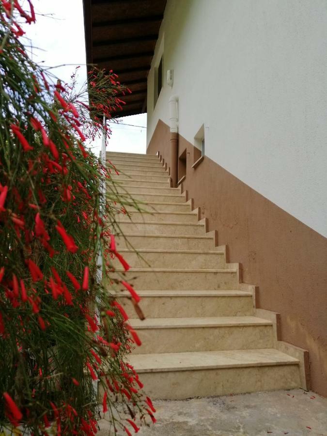 فيلا بيلج Çıralı المظهر الخارجي الصورة